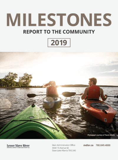 Milestones Report to the Community 2019